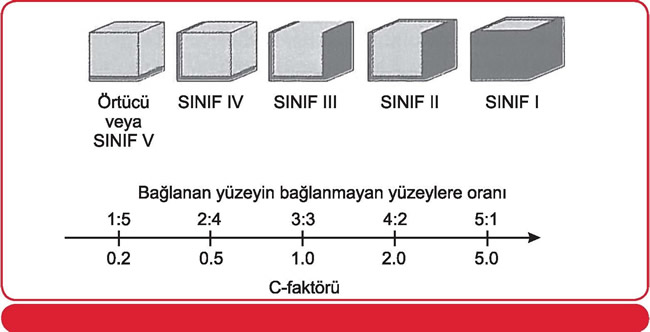 dt_bahadir_e16_ziy_yor_cevap_1