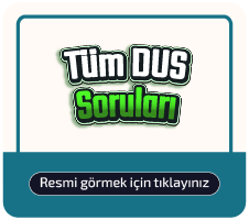 Kapak Görseli